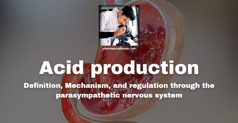 Acid production: definition, Mechanism, and regulation through the parasympathetic nervous system