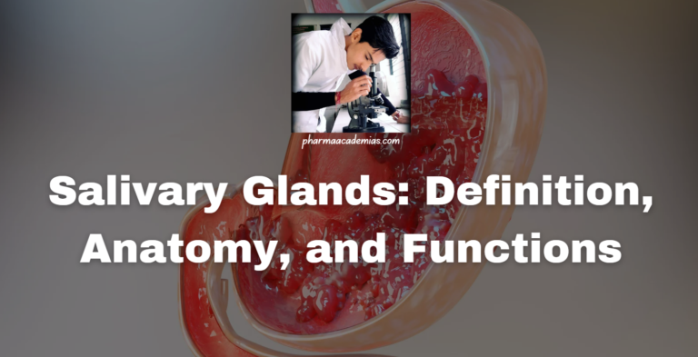 Salivary Glands: Definition, Anatomy, and Functions