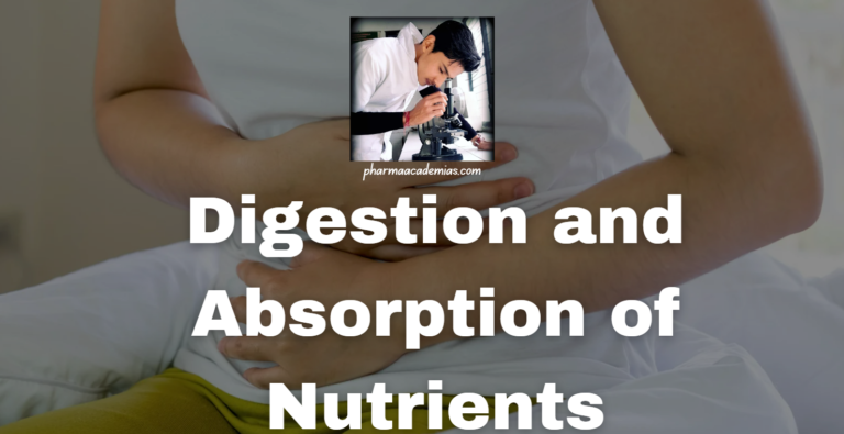 Digestion and Absorption of Nutrients