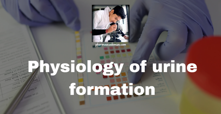 Physiology of urine formation