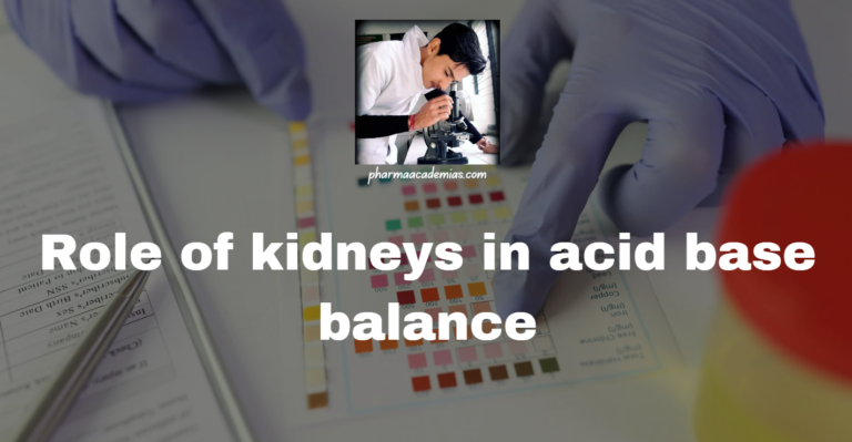 Role of kidneys in acid base balance