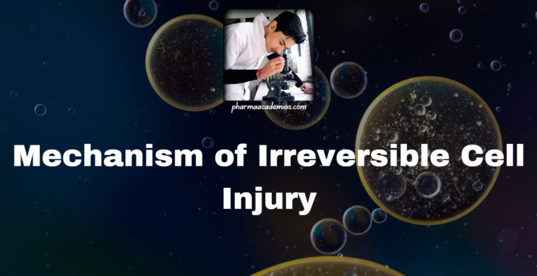 Mechanism of Irreversible Cell Injury