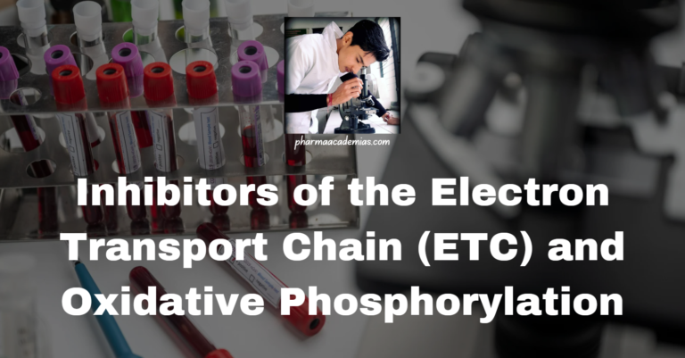 Electron Transport Chain (ETC) and Oxidative Phosphorylation