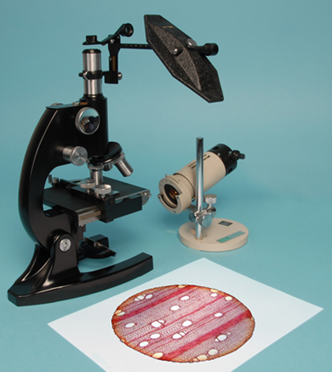 image 27 Camera lucida & diagrams of microscopic objects