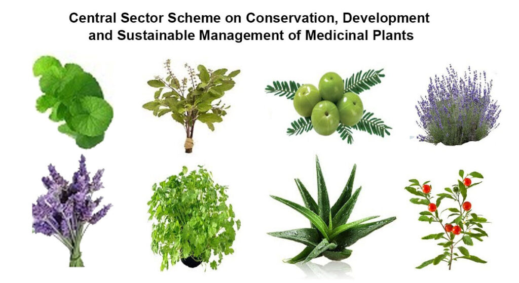 Conservation of Medicinal Plants