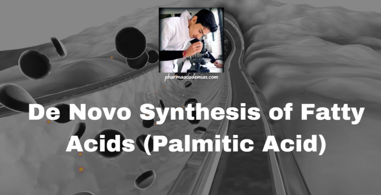 De Novo Synthesis of Fatty Acids (Palmitic Acid)