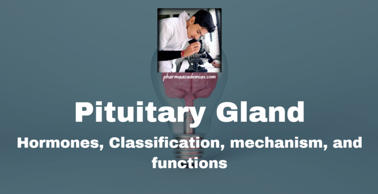 Pituitary Gland: Definition, Structure, Functions, and Disorders