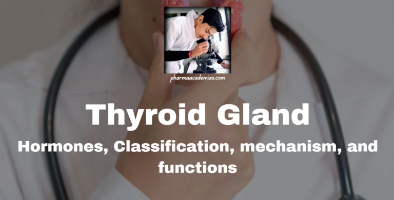 Thyroid Gland: Definition, Structure, Functions, Disorders