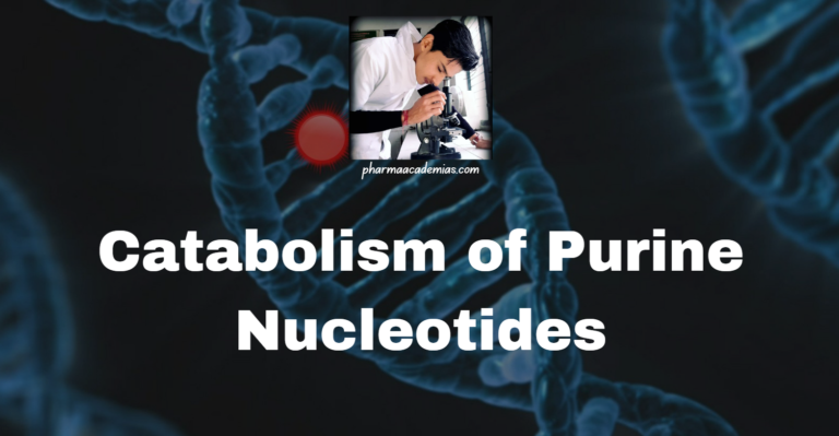 Catabolism of Purine Nucleotides