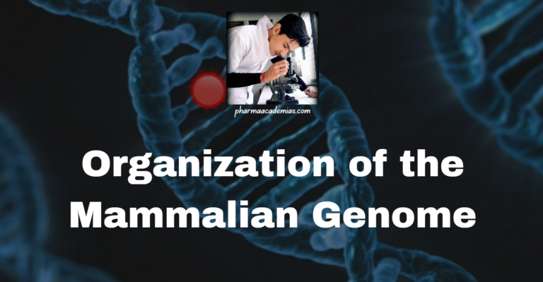Organization of the Mammalian Genome