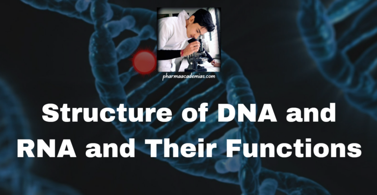 Structure of DNA and RNA and Their Functions