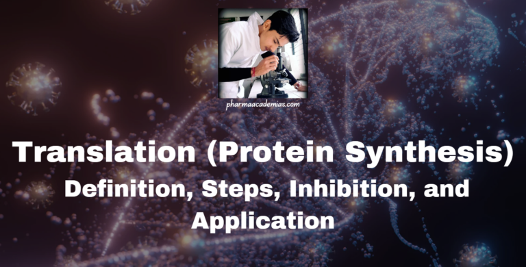 Translation (Protein Synthesis): Definition, Steps, Inhibition, and Application