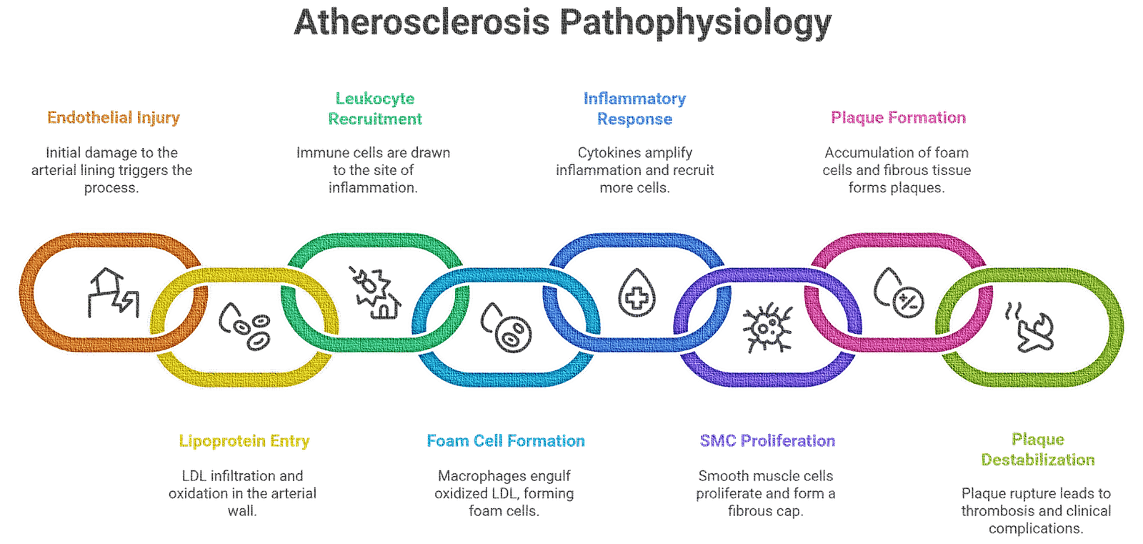 Pathophysiology of Atherosclerosis