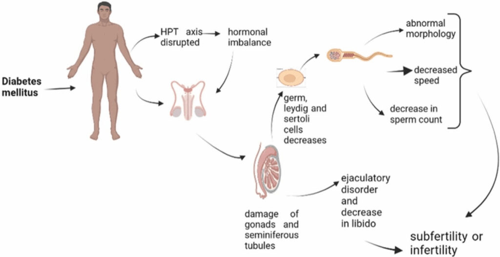 Disorders of Sex Hormones