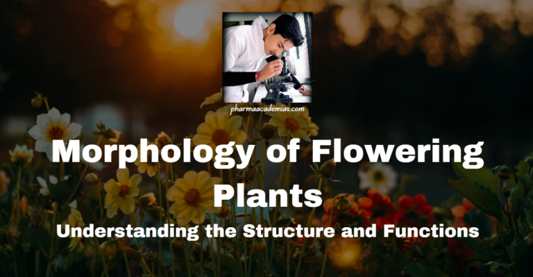 Morphology of Flowering Plants: Understanding the Structure and Functions