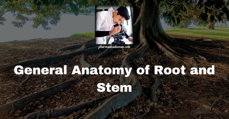 General Anatomy of Root and Stem and Leaf