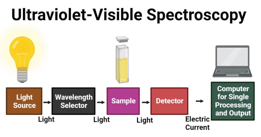 UV-Visible Spectroscopy