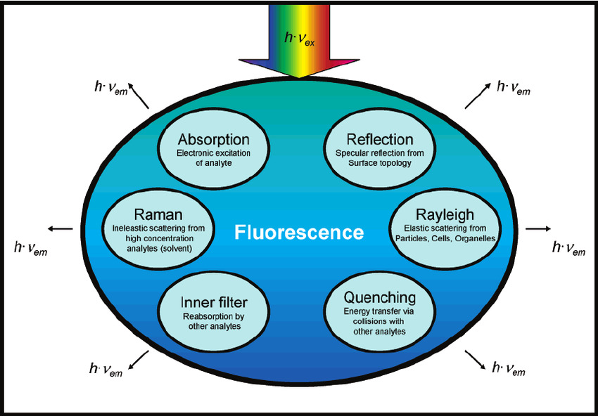 Factors Affecting Fluorescence