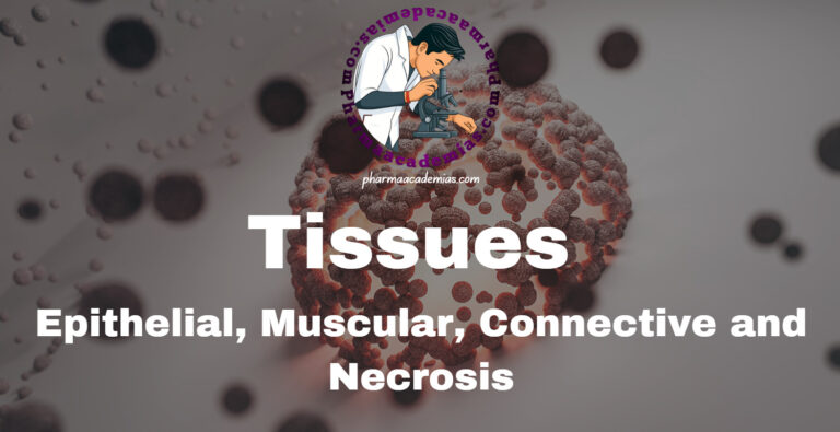 Tissues : Epithelial, Muscular, Connective and Necrosis