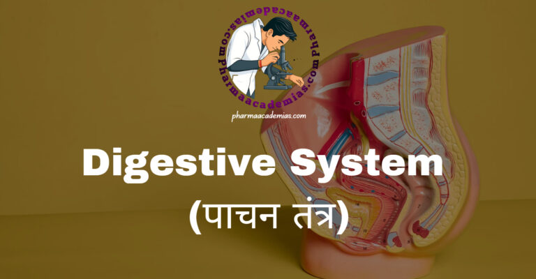 Digestive System (पाचन तंत्र)