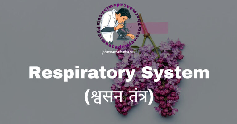 Respiratory System (श्वसन तंत्र)