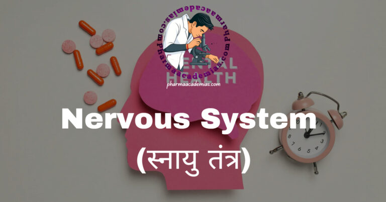 Nervous System (स्नायु तंत्र)