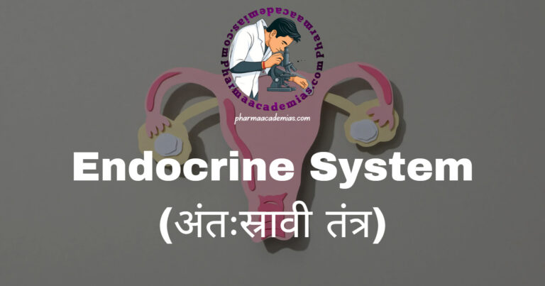 Endocrine System (अंतःस्रावी तंत्र)