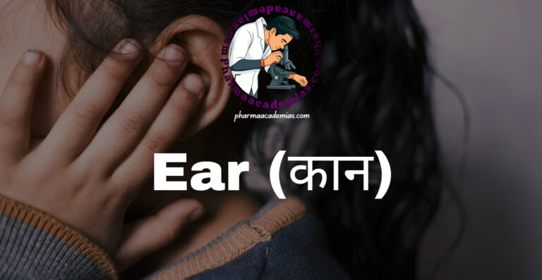 Ear (कान)