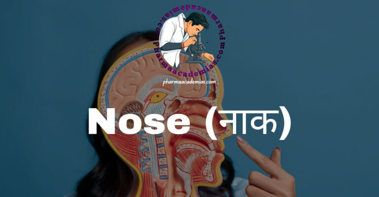 Nose (नाक)