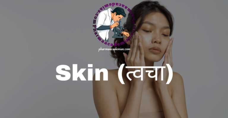 Skin (त्वचा)