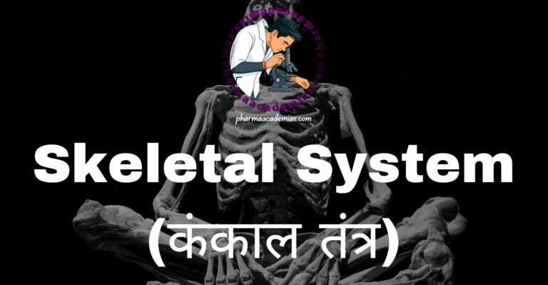 Skeletal System