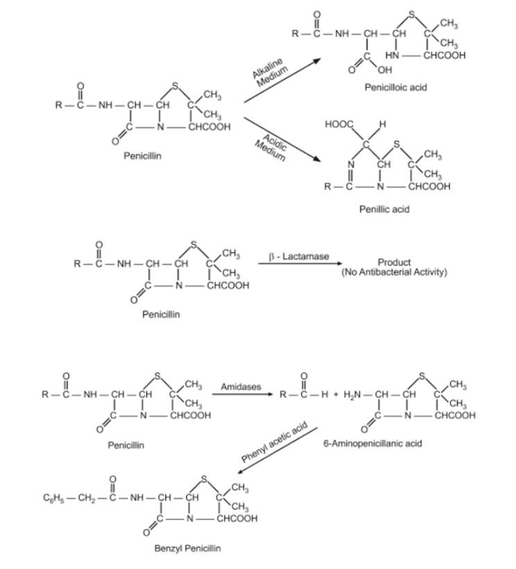 Chemical Degradation of Penicillins