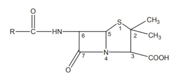 image 5 9 Penicillins: Chemical Degradation and SAR