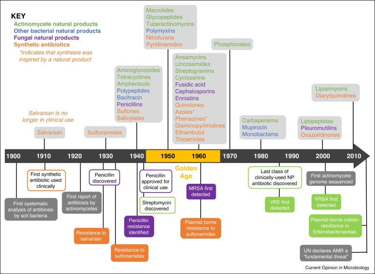 image 6 1 Antibiotics: Historical background and Classification