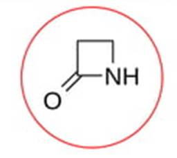 image β-Lactam antibiotics