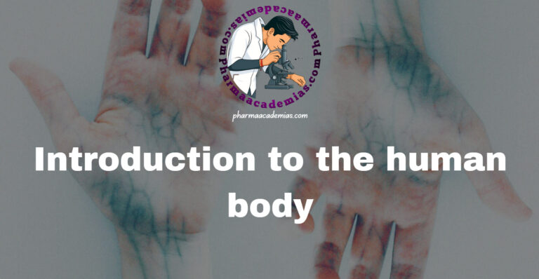 Introduction to the human body