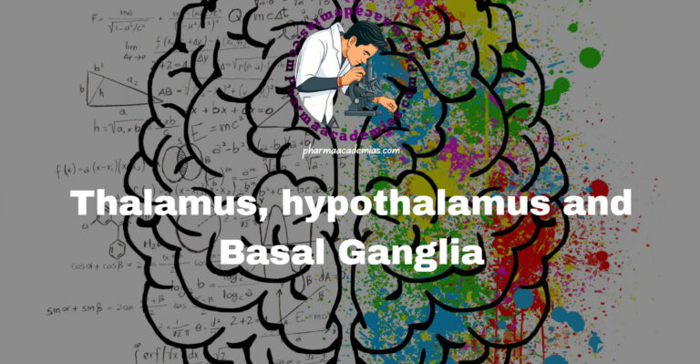 Thalamus, hypothalamus and Basal Ganglia