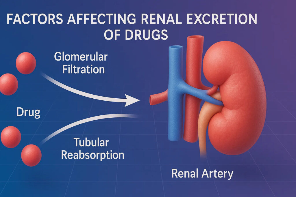 image 2 Factors Affecting Renal Excretion of Drugs