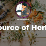 Screenshot 2026 04 03 124007 Source of Herbs