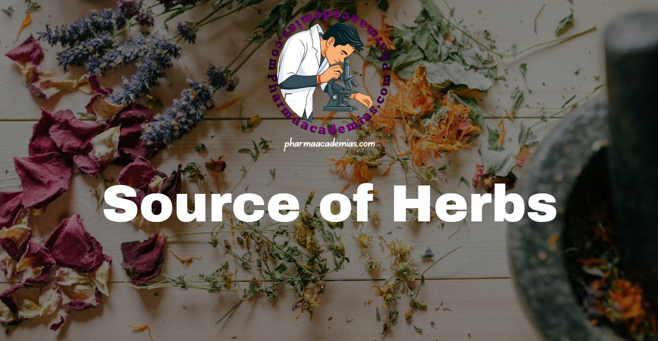 Screenshot 2026 04 03 124007 Source of Herbs