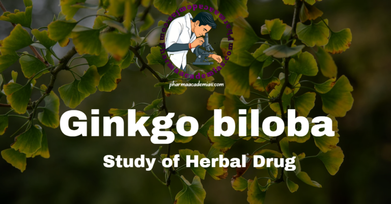Ginkgo biloba