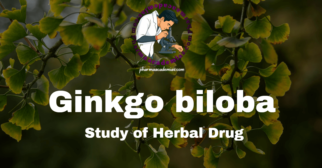 Ginkgo biloba