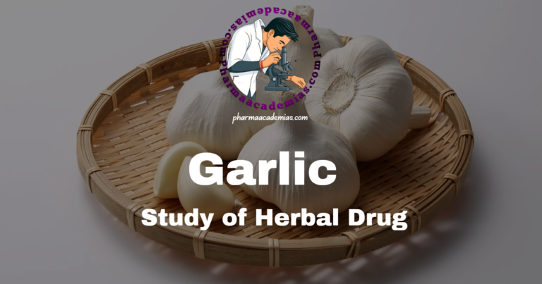 Garlic as Herbal Drug