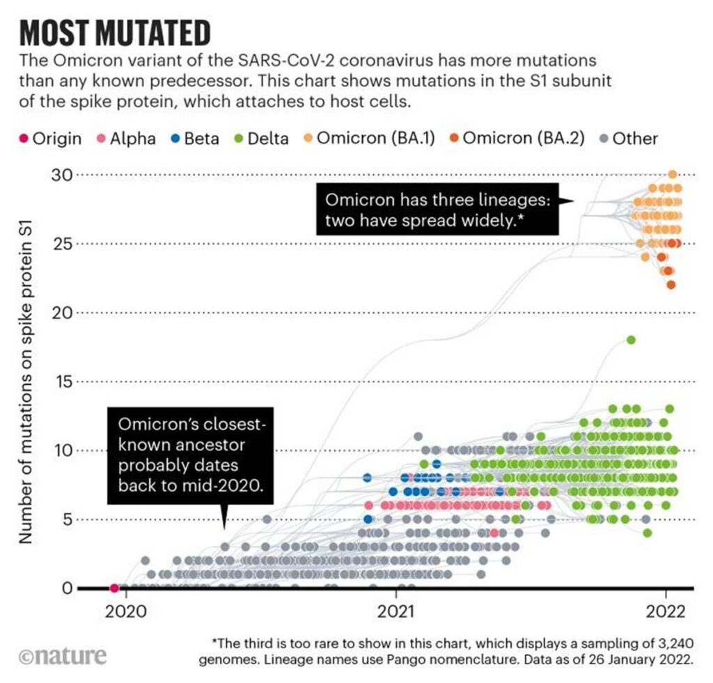 image 4 Cicada covid variant BA 3.2: U.S. Needs to Know