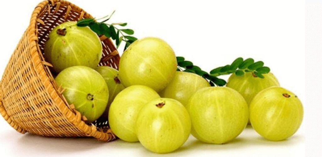 Amla as Health Food