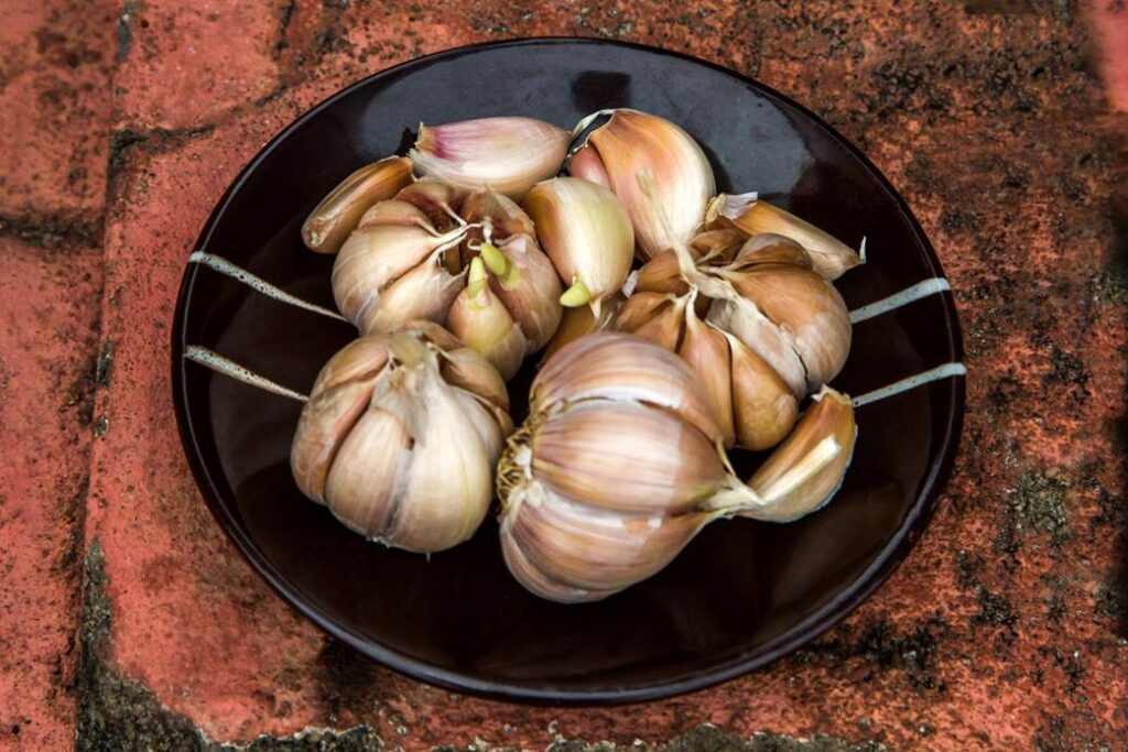 Garlic as Health Food
