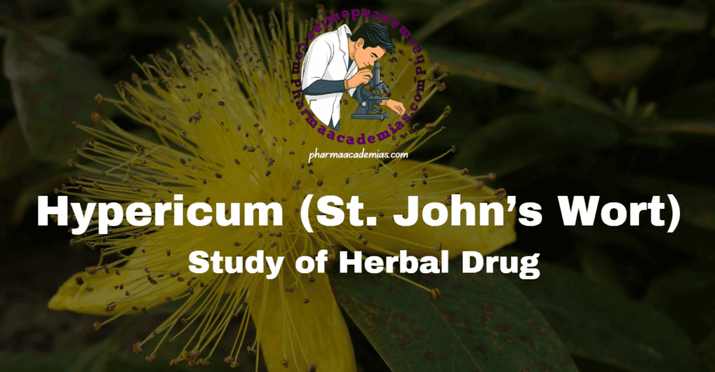 Hypericum