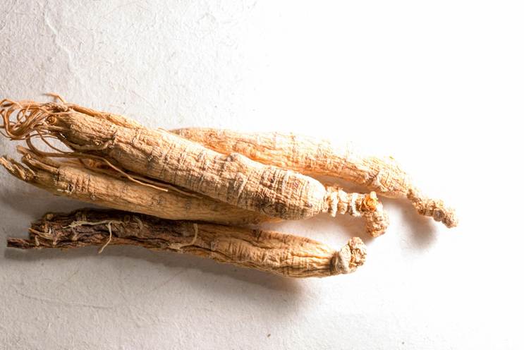 Ginseng as Health Food