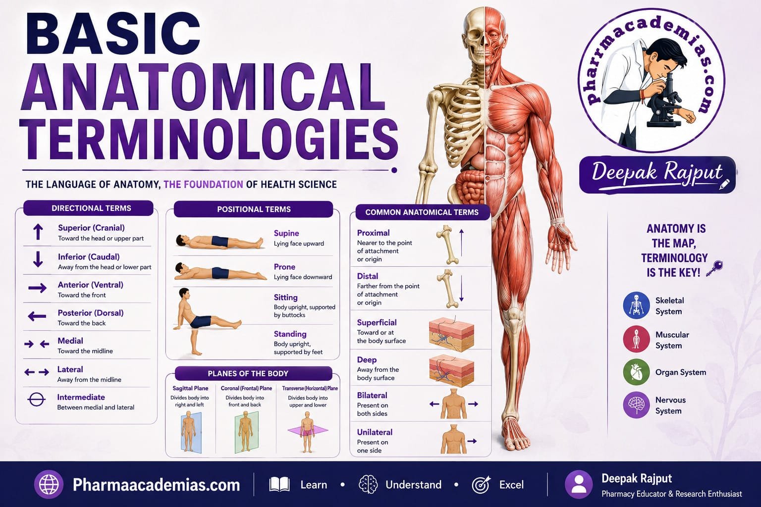Body Terminologies Basic Anatomical Terminologies