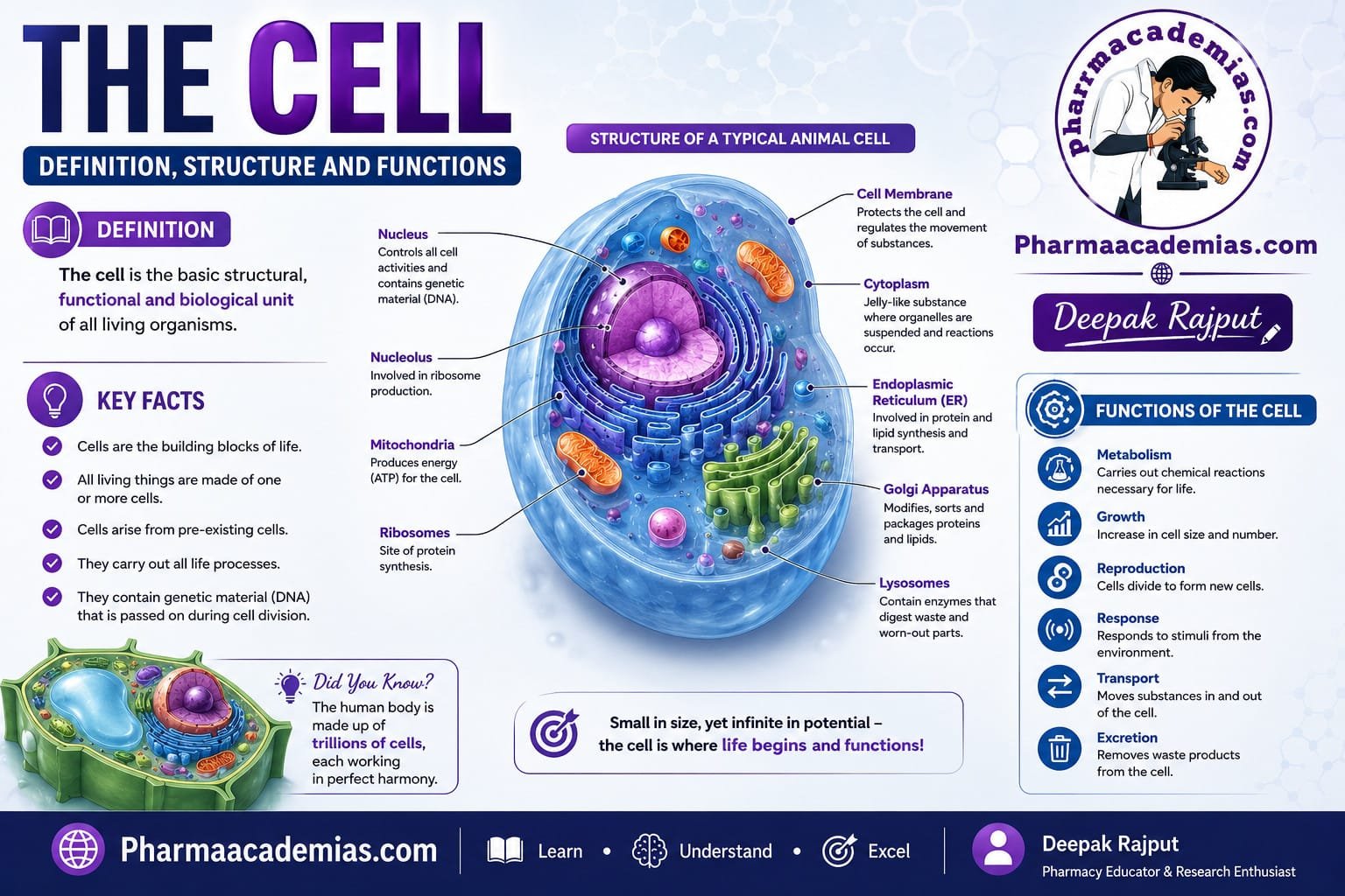 The Cell